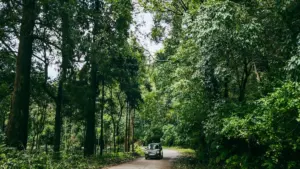 are electric cars better for the environment
